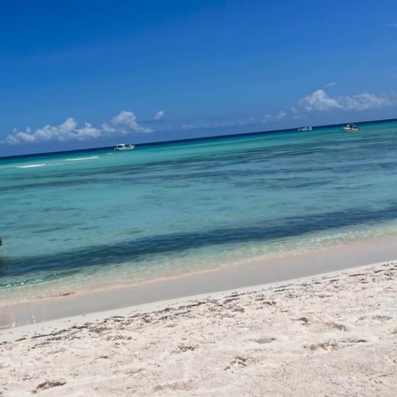 Meet your Posher, Selma - Picture 1 of 1